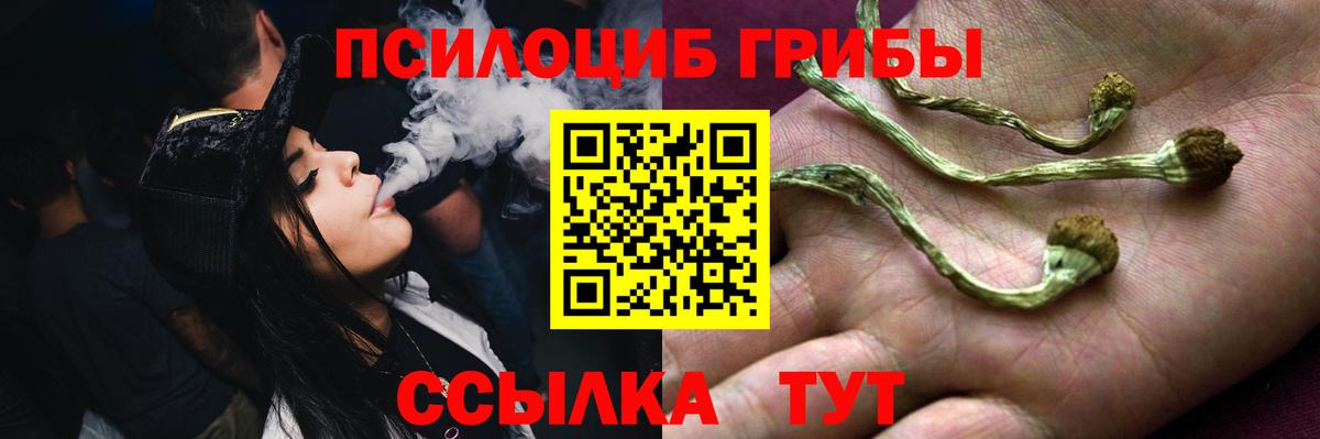 Галлюциногенные грибы Psilocybe  Вход с VPN  где купить наркоту  Партизанск 